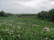 Gateway National Recreation Area