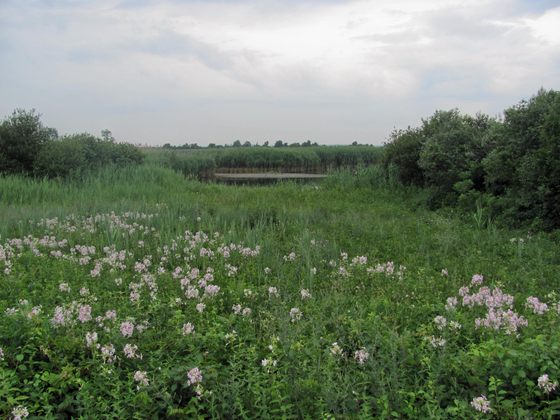 Gateway National Recreation Area