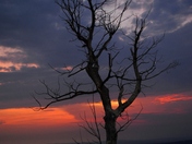 Shenandoah National Park