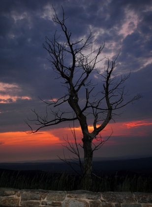 Shenandoah National Park