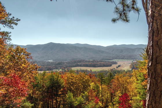 Smokie Mountain National park