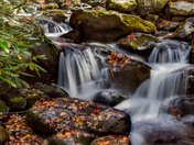 Smokie Mountain National Park