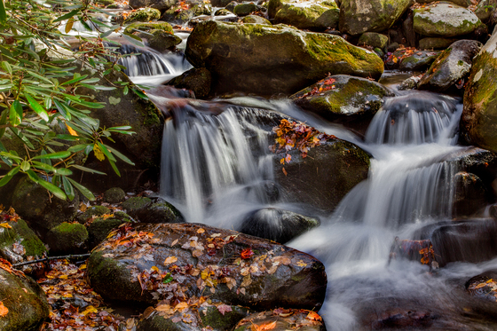 Smokie Mountain National Park