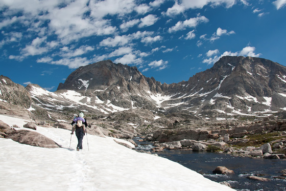 Bridger Teton National Forest