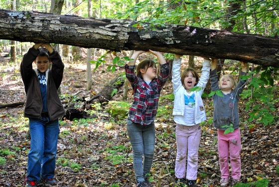 Prince William Forest Park