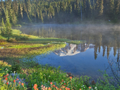 Mt Rainier National Park
