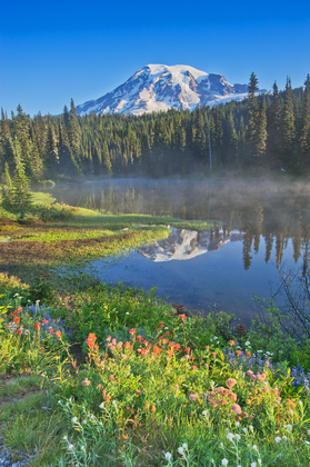 Mt Rainier National Park