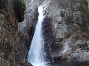 White Mountain National Forest, NH