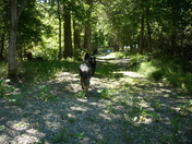 US Fish and Wildlife Service