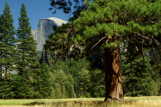 Yosemite National Park