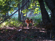 Yosemite National Park