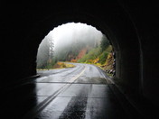 Mt. Rainier National Park