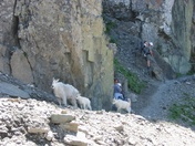 Glacier National Park