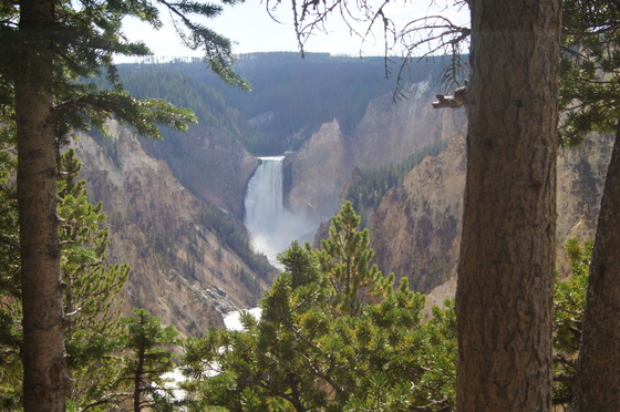 Yellowstone NP