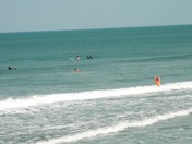 Canaveral National Seashore