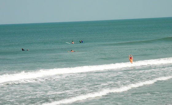Canaveral National Seashore