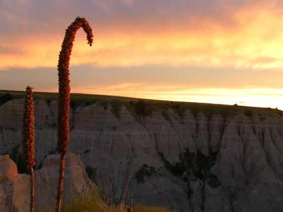 Badlands south unit