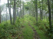 Appalachain Trail, North Carolina