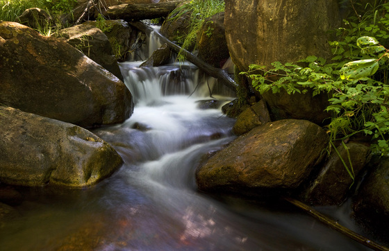 Tonto National Forest