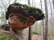 Shawnee National Forest