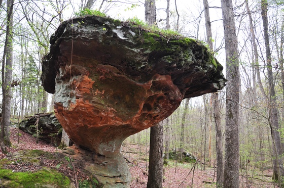 Shawnee National Forest