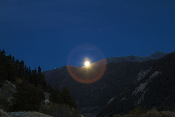 Gallatin National Forest