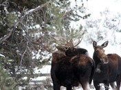 Grand Teton National Park