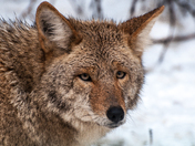 Yosemite National Park