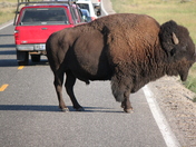 Yellowstone National Park