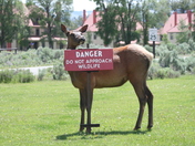 Yellowstone National Park