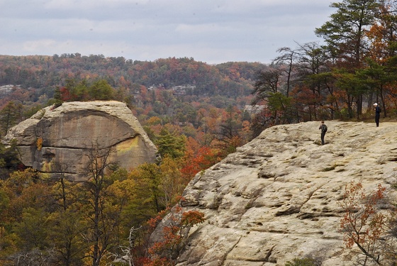 Daniel Boone National Forest