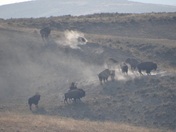 Yellowstone National Park