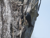 Cuyahoga National Park