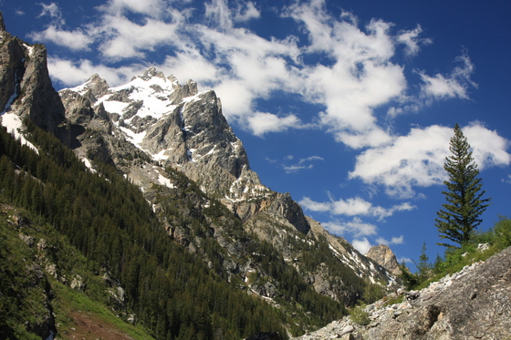 Grand Teton