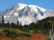 Mt Rainier National Park