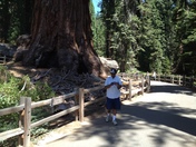 Sequoia National Forest