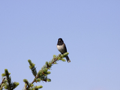Olympic National Park