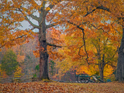 Shiloh National Military Park