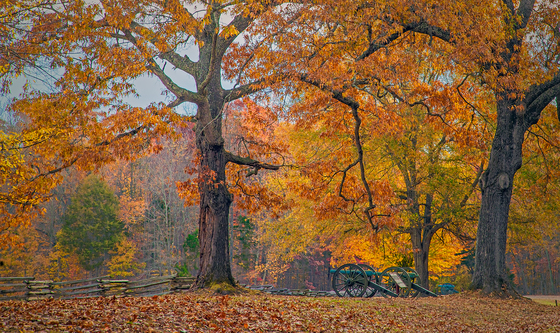 Shiloh National Military Park
