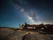 Yosemite National Park