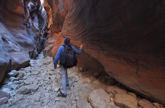 Paria Canyon-Vermilion Cliffs