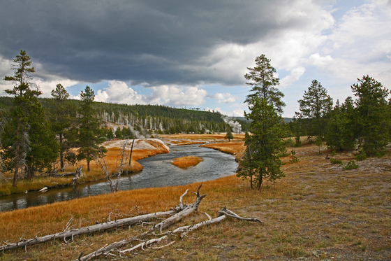 Yellowstone