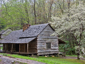 Great Smoky Mountains National Park