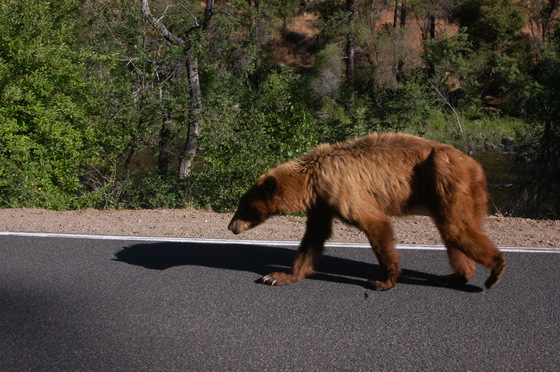 Yosemite National Park