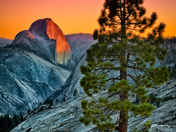 yosemite Nat'l Park