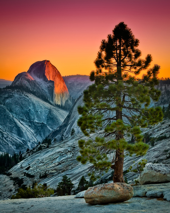 yosemite Nat'l Park