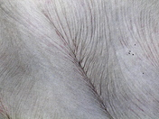 Lake Clark National Park & Preserve