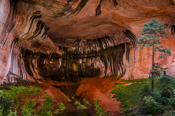 Zion National Park