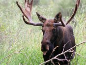 Lee Metcalf National Wildlife Refuge