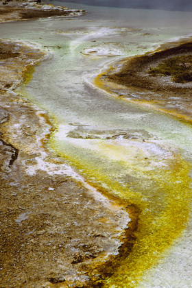 Yellowstone National Park